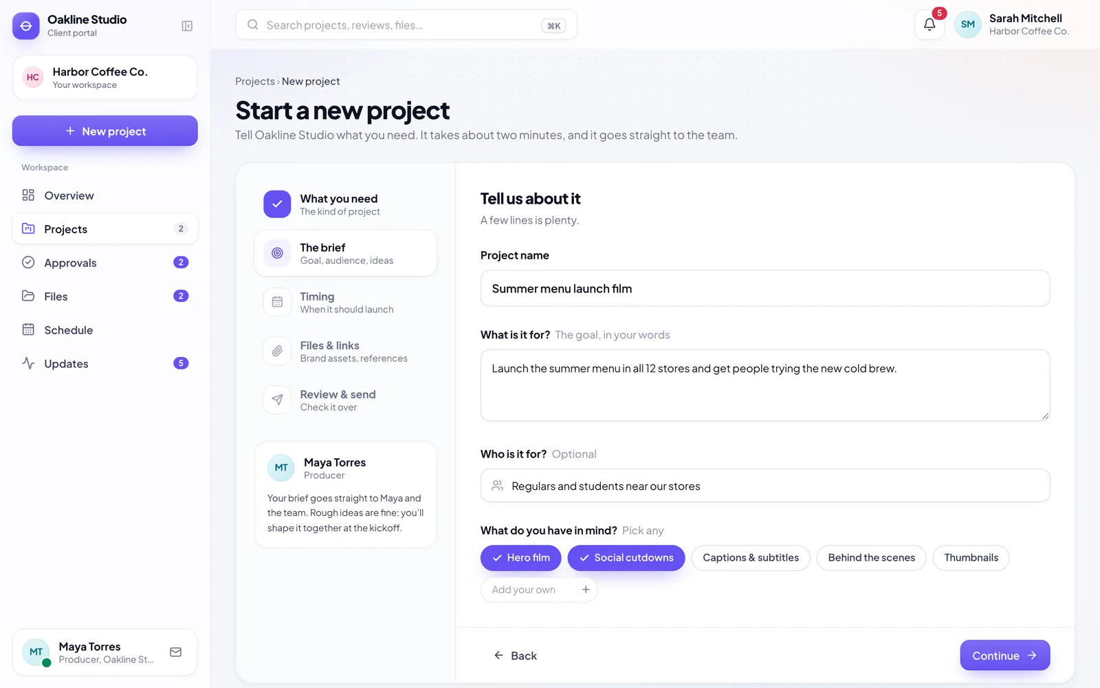 The new-project brief, step two: name, goal, audience and what they have in mind
