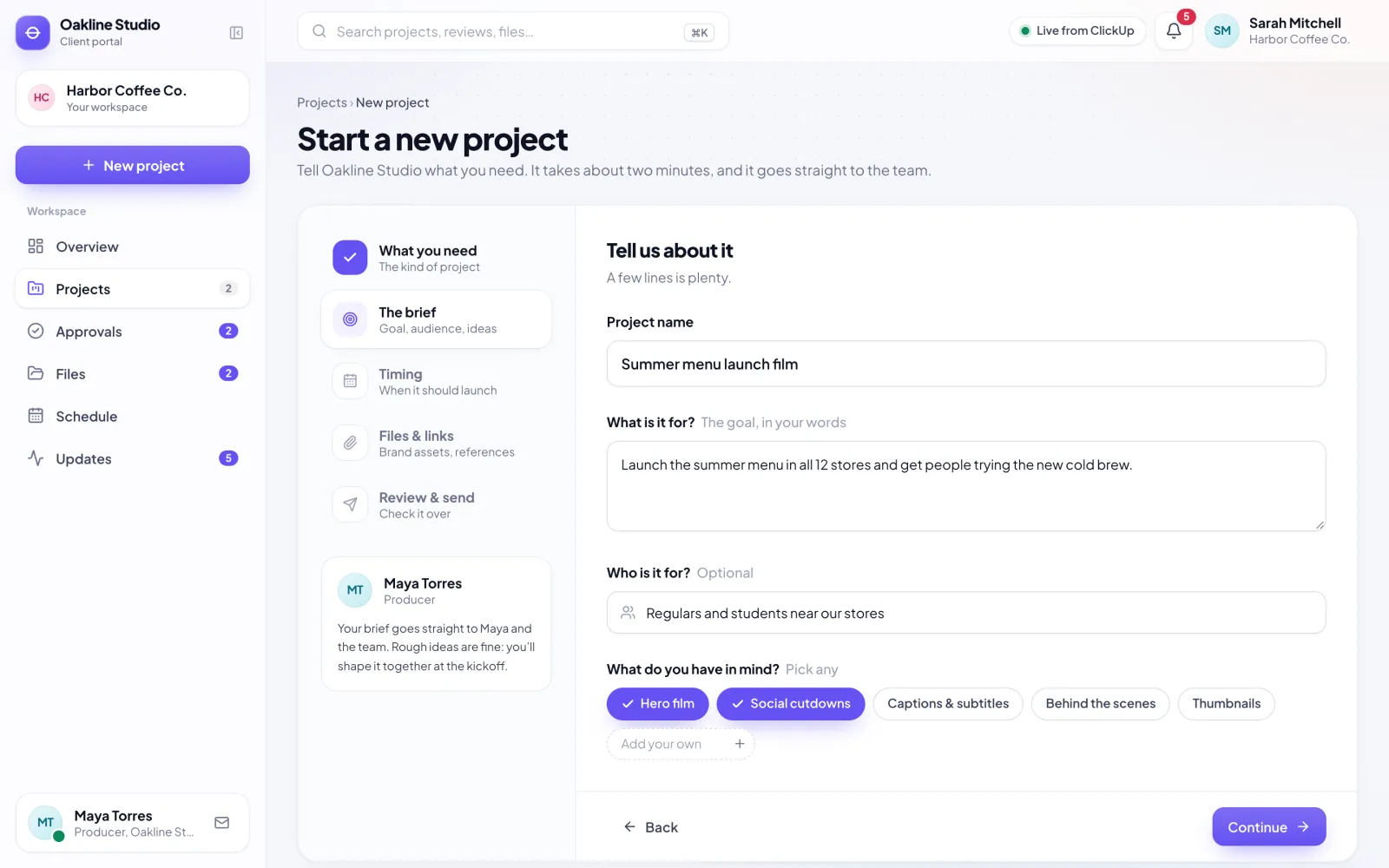 The new-project brief, step two: name, goal, audience and what they have in mind