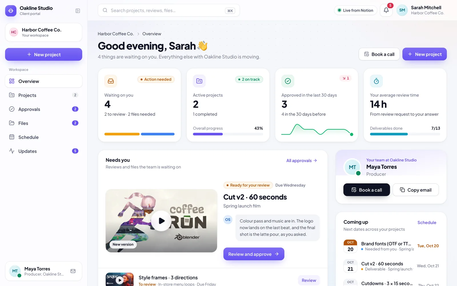 The client's overview: what needs them, projects, dates and progress