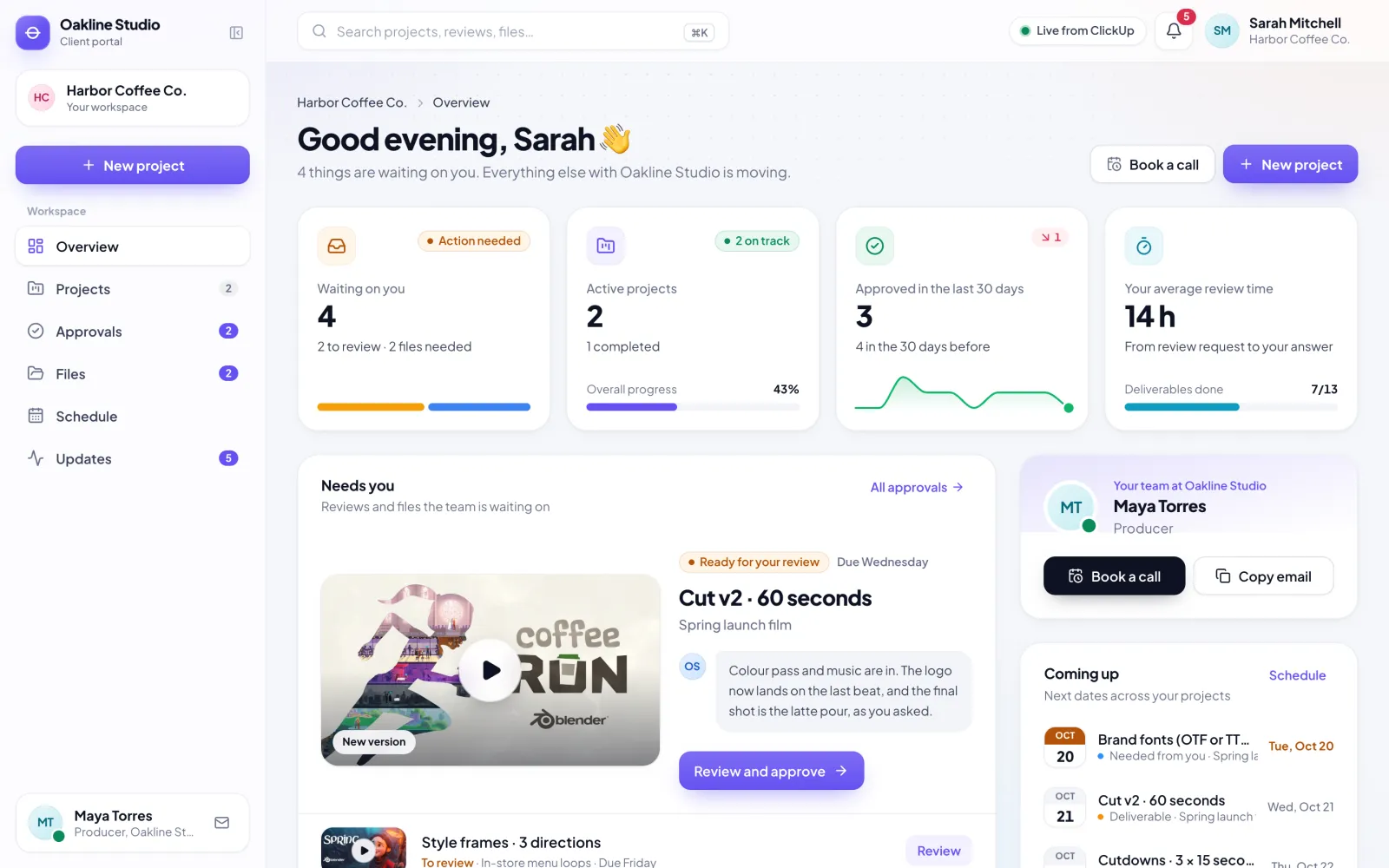 The client's overview: what needs them, projects, dates and progress